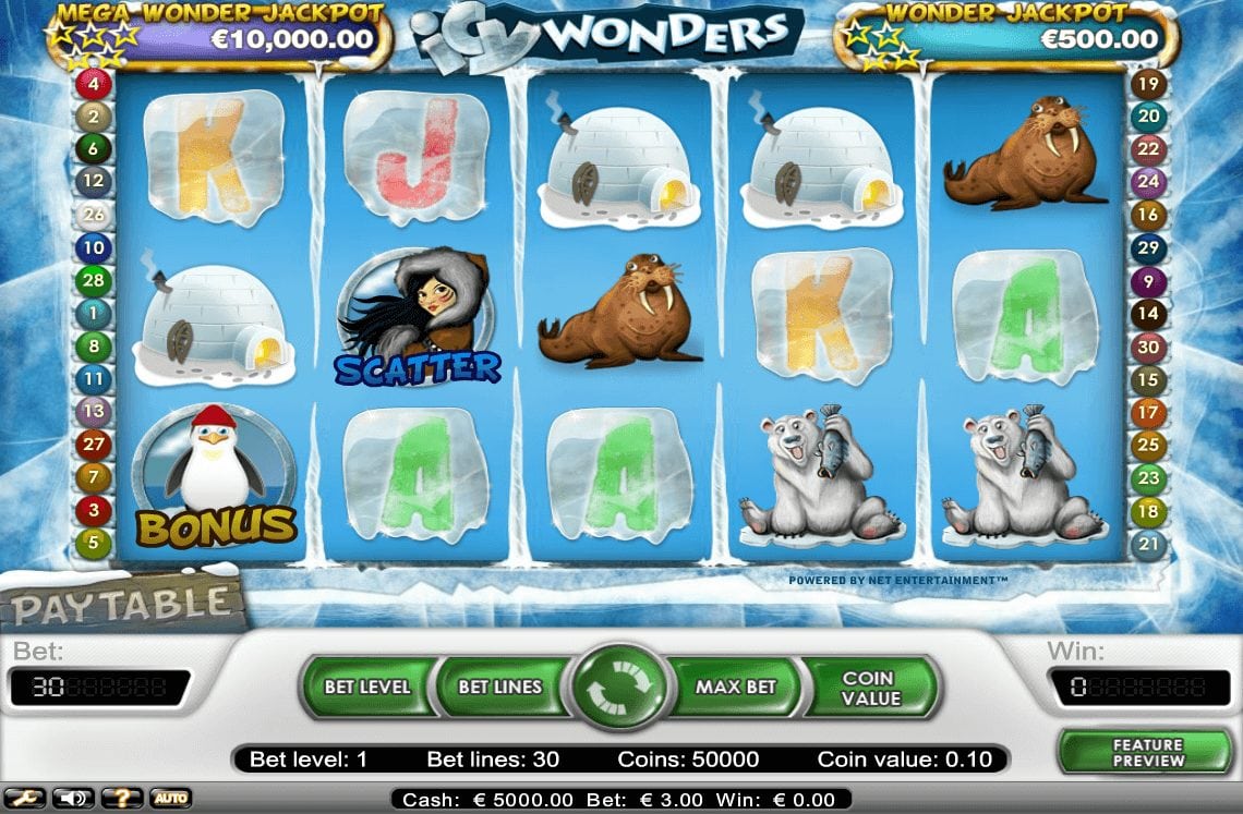 Icy Wonders slot
