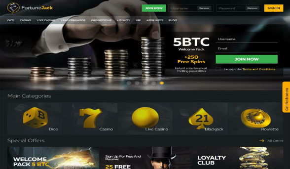 FortuneJack Casino screenshot