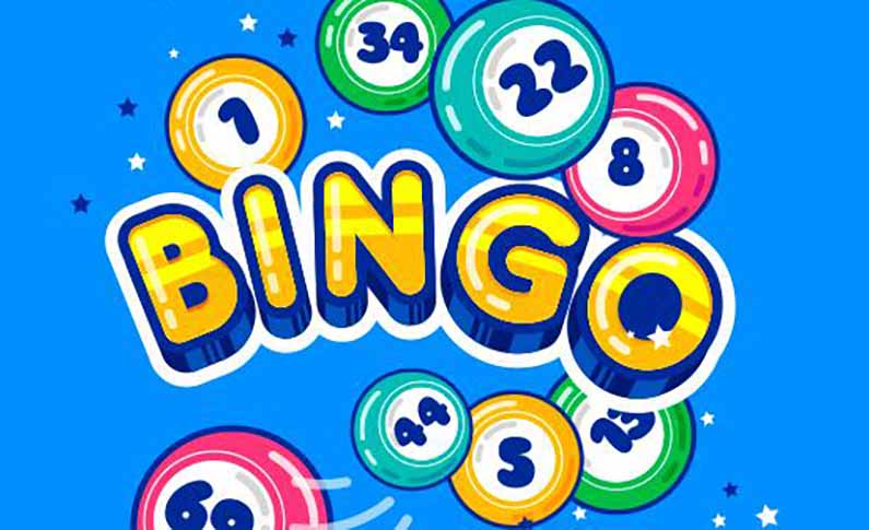 Where does Bingo come from?